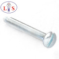 Anti-Theft Screw/Security Screw with High Quality